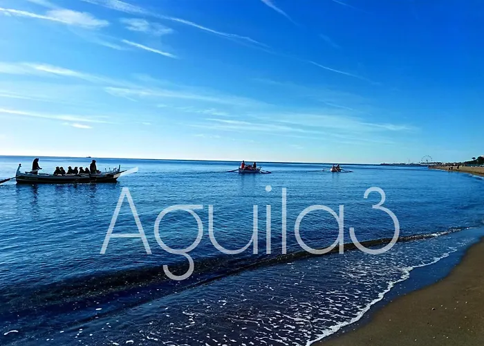 Estudio Aguila3