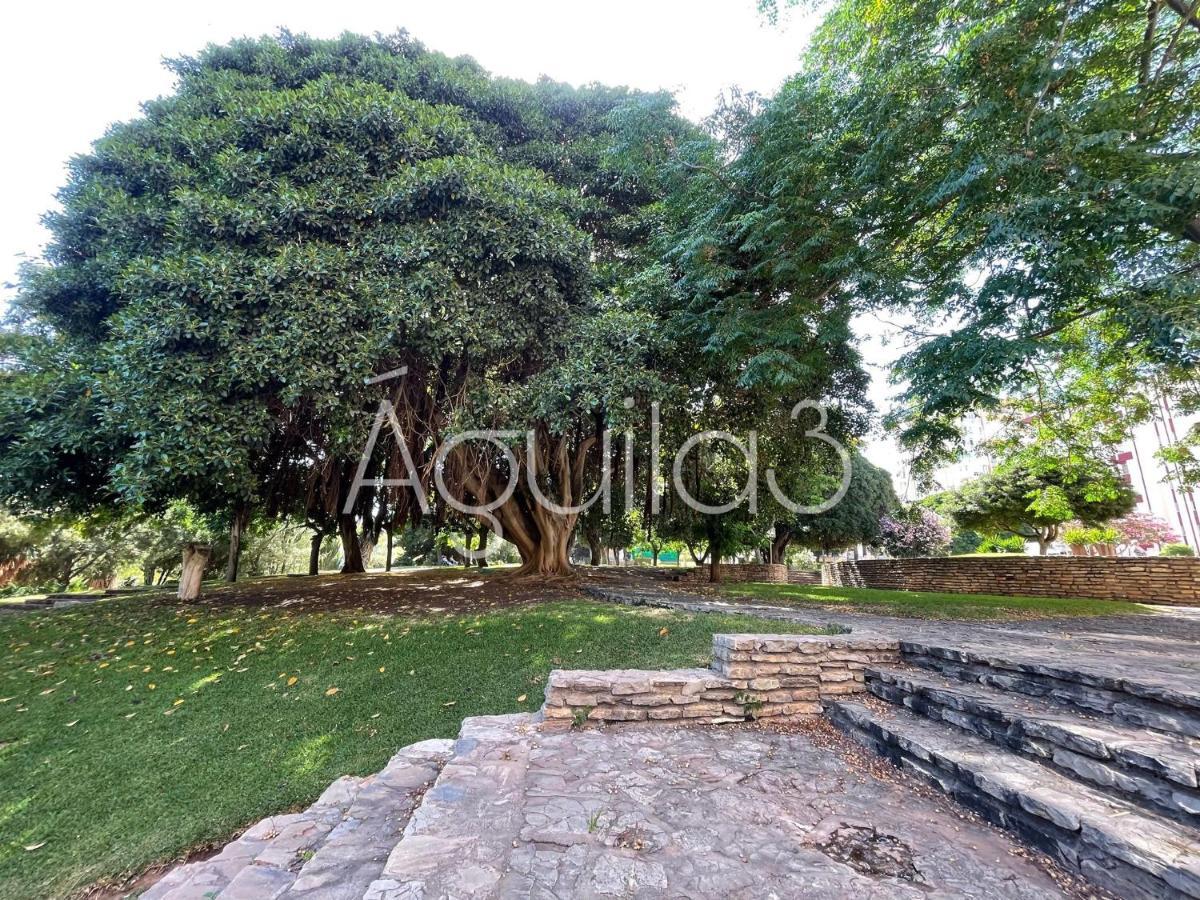 Apartment Estudio Aguila3 *